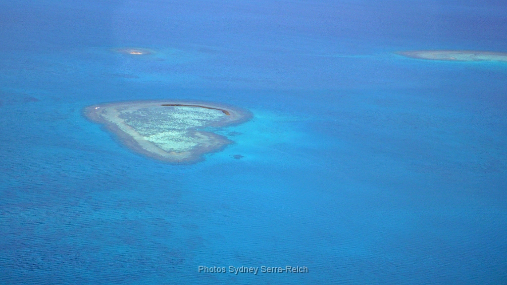 Il y a le coeur de VOH  en Province Nord  .JPG - Il y a le coeur de VOH , en Province Nord ,dans la mangrove , immortalisé par Yann Arthus Bertrand ,mais il y a aussi ce joli coeur ,en formation dans le Lagon Sud , immortalisé par moi !!!! Août 2014